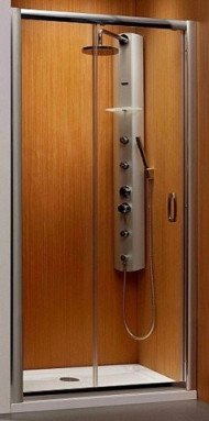 Душові двері Radaway Premium Plus DWJ 120 (33313-01-01N)