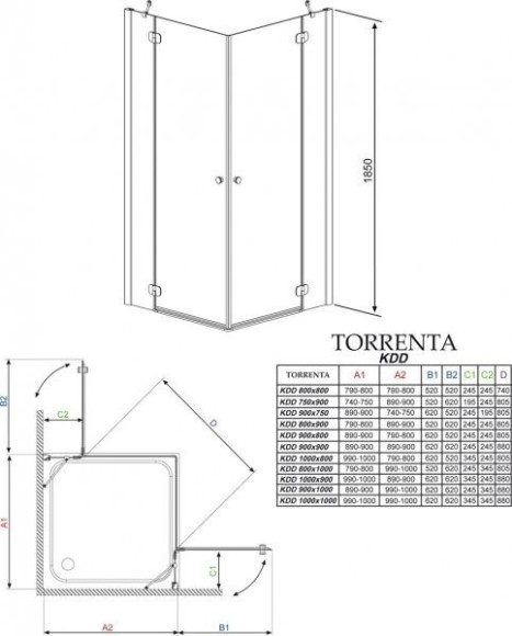 Душевая кабина Radaway Torrenta KDD, 100x100 (32272-01-01N)