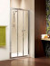 Душевые двери Radaway Treviso DW 120 (32333-01-01N)