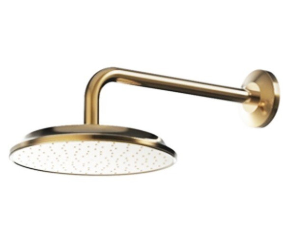 Верхній душ Toto Classic (DBX120CAMPG)