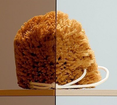 Душевая кабина Radaway Almatea PDD+E, 90x80 (30532-01-01N)